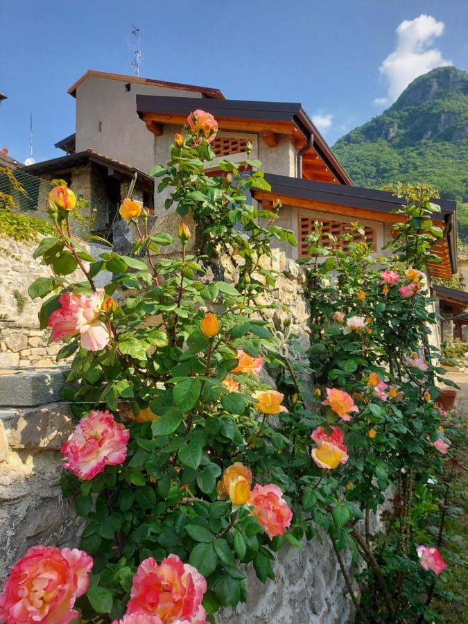 Our Happy Place - Casa Vacanze Per Il Viaggiatore Slow 曼代洛-德尔拉里奥 外观 照片